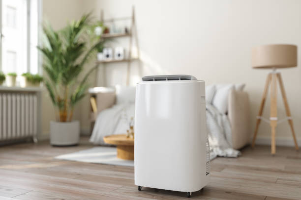 Best VRF (Variable Refrigerant Flow) Systems in Melrose, MN